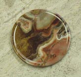 fossil sandstone collectible coasters