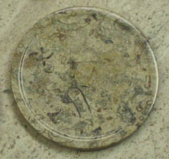 fossil sandstone collectible coasters