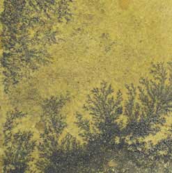 amber glow sandstone drink coasters