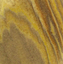 fossil sandstone collectible coasters