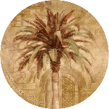 palm drink coasters