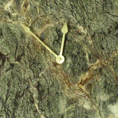 Oak Wood Green Marble Clock